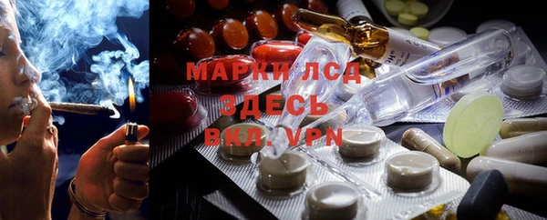 jwh Карпинск