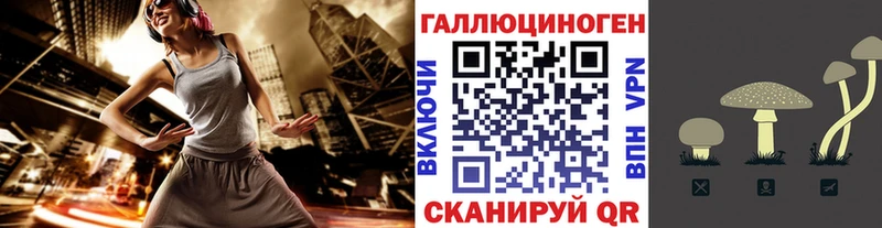 Купить закладки  Сортавала  Галлюциногенные грибы Psilocybine cubensis 